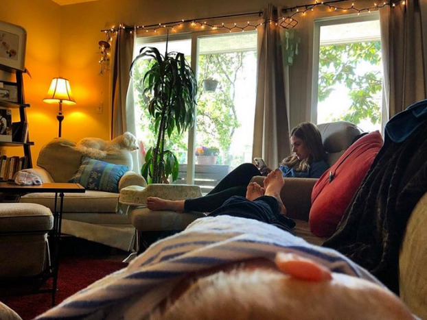 Screen Shot 2018-04-10 at 12.59.45 PM