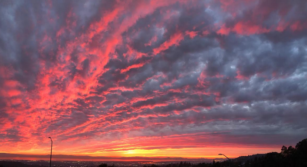 Screen Shot 2020-02-04 at 11.58.04 AM