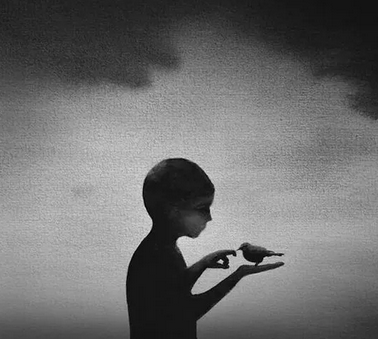 Screen Shot 2020-02-19 at 4.04.52 PM